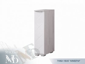 Тумба к туалетному столику Кимберли ТБ-21 в Евсино - evsino.mebel-nsk.ru | фото